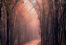 开云体育：中超第3轮跑动距离榜：约契奇超1.3万米居首，严鼎皓第2侯永永第5.