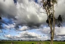 挤迪奥名利场,郑钦文狂爆金币3个亿!_腾讯新闻.