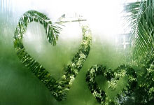 开云体育：蒙特拉：为土耳其晋级欧国联A联赛感到自豪，这是我们的目标.