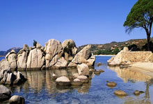 开云体育：博主：张源出现在国安驻地仍步履蹒跚，韩佳奇、吴少聪参加训练.